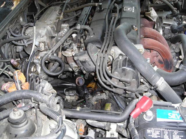 1995 Honda accord antifreeze leak #3