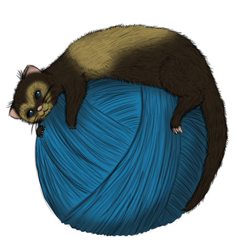  photo Ferret_zpsd621fa5e.png