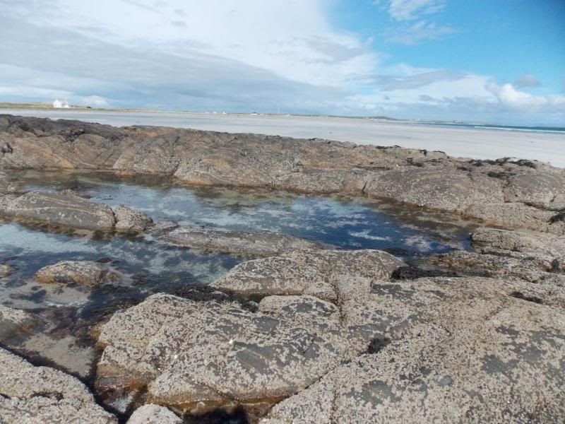  photo RockPoolsBarnacles_zpsf5017c9e.jpg