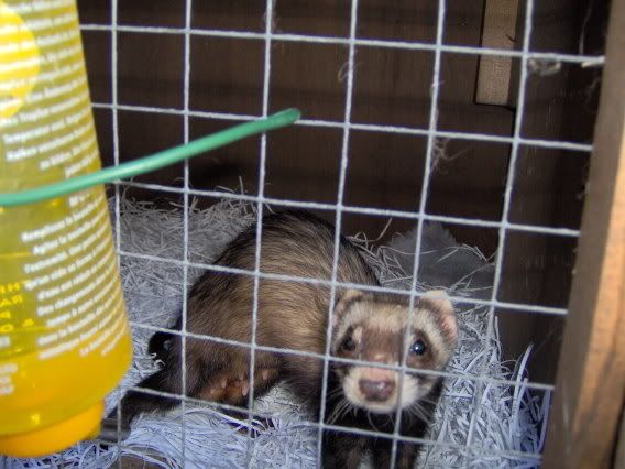 Lou when she arrived