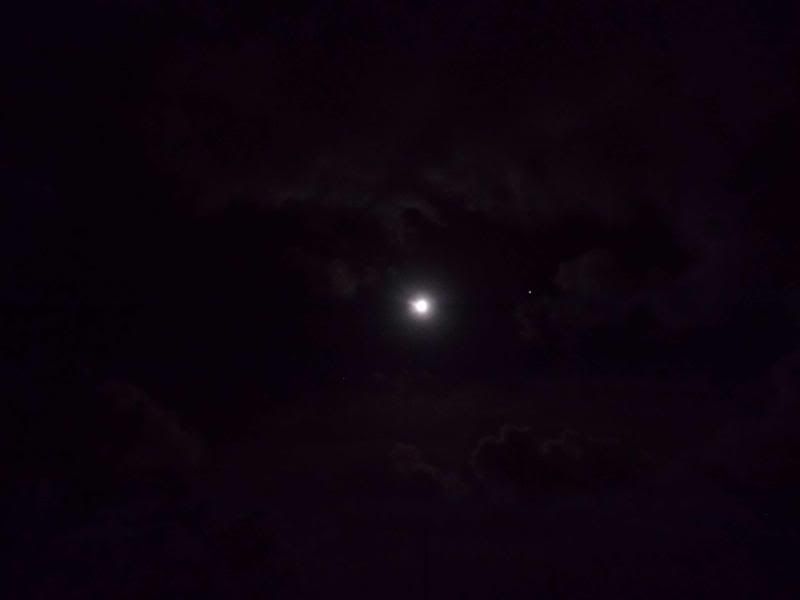  photo Moonlit2_zpsb1449f54.jpg