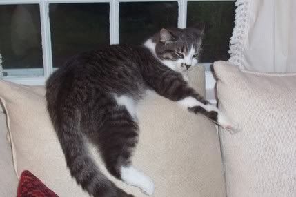 Image hosted by Photobucket.com