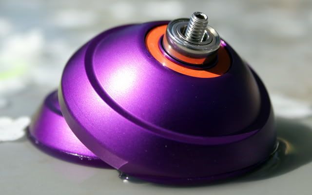 IMAGE: http://img.photobucket.com/albums/v330/Toastydoc/IMG_0778.jpg?t=1283783417