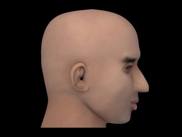 head30.jpg