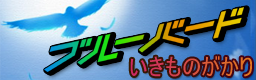 http://img.photobucket.com/albums/v330/unknown_gamer/custom_music_fit_banners/BLUEBIRD-bn.png