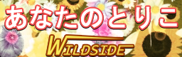 http://img.photobucket.com/albums/v330/unknown_gamer/custom_stepmania_banners/ANATANOTORIKO-bn.png