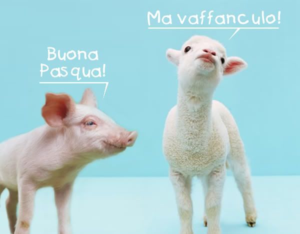 BuonaPasquaalternativa.jpg