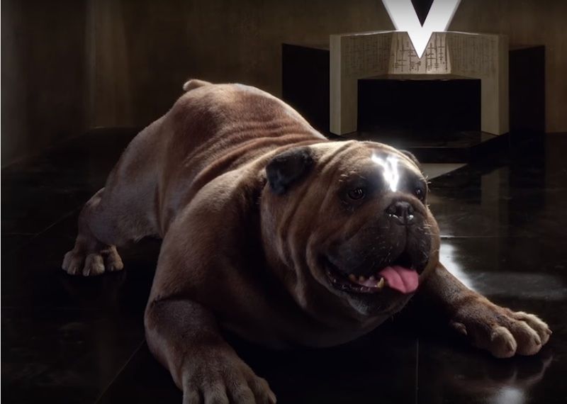 Lockjaw_zpsbmzlxy3c.jpg