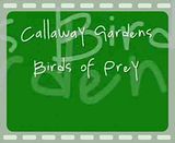 BirdsofPreyVideo.mp4 video by Breakthrough
