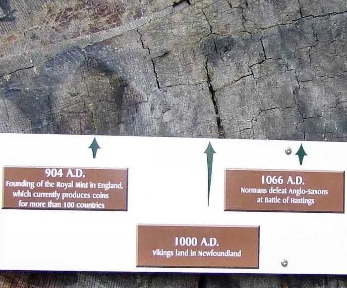 Ice core dating creationism