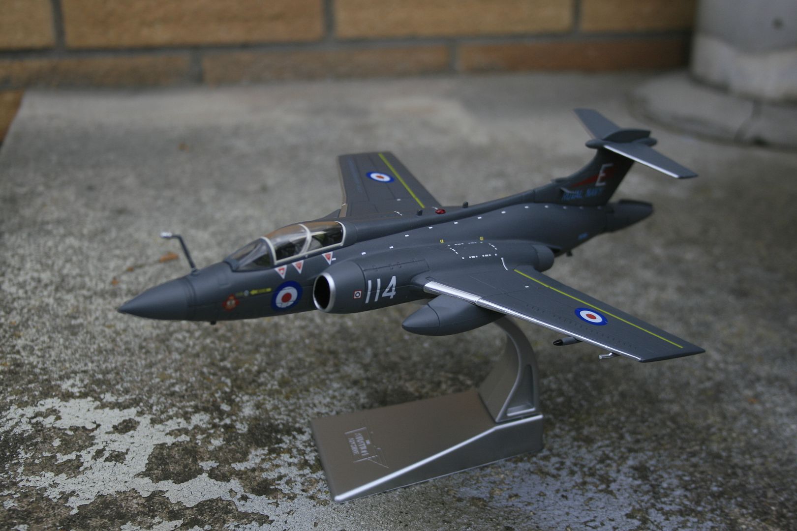 corgi buccaneer