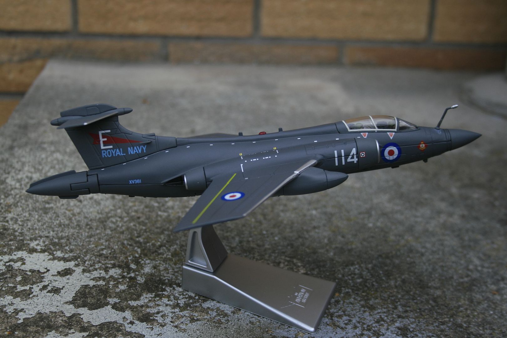 corgi buccaneer