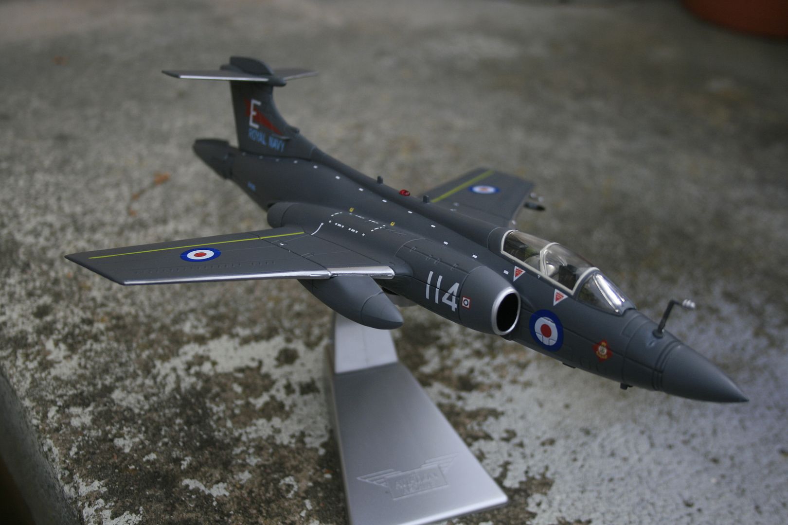 corgi buccaneer