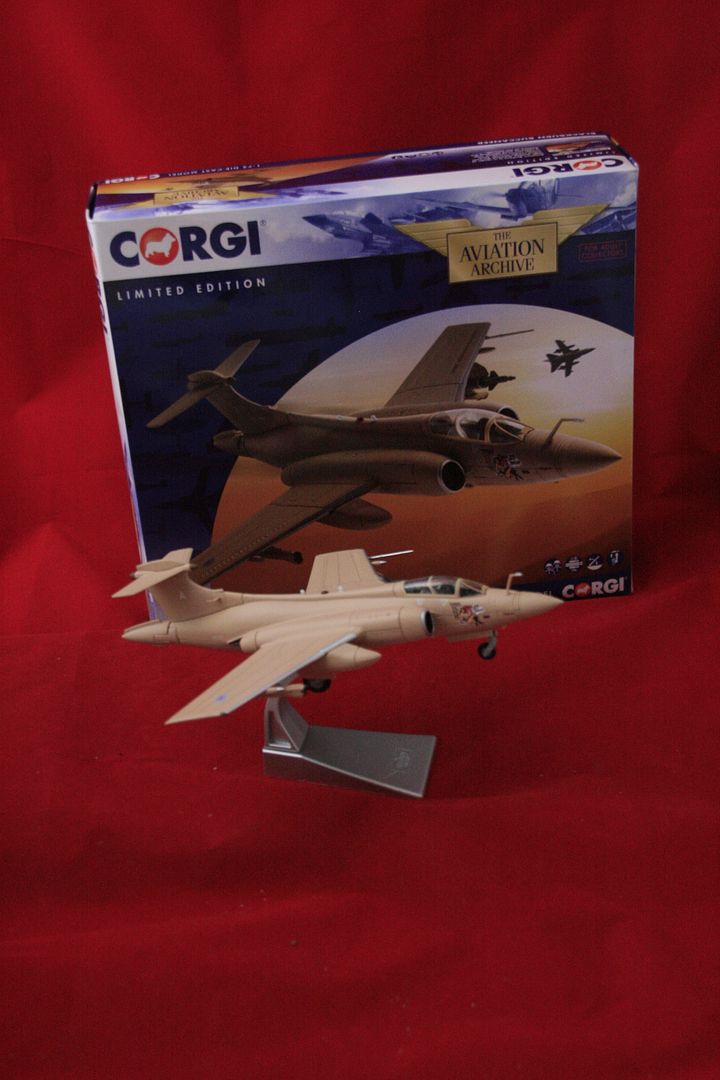 corgi buccaneer