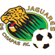 jaguaresn.gif