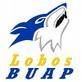 lobosbuap.jpg