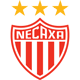 necaxan.gif