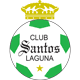 santosn.gif