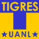 tigresn.gif