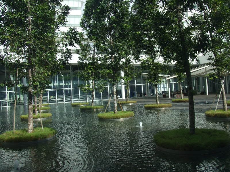 Pond in the Middle of the Building