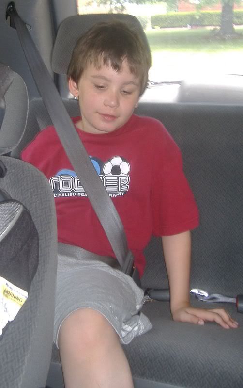 child wearing seatbelt