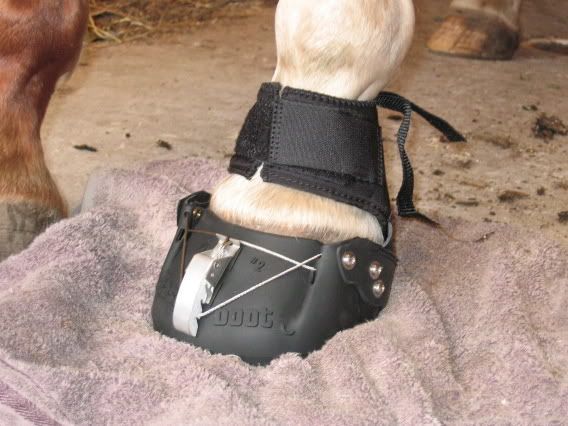 easy_boots_01.jpg