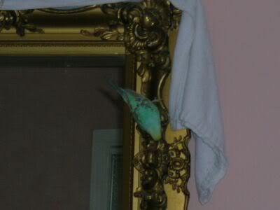 DSCN0640.jpg
