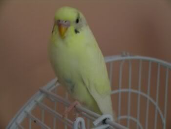 Sunny.jpg