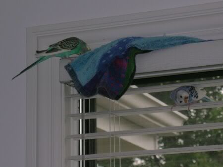 Window3.jpg