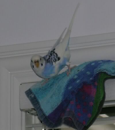 Window4.jpg