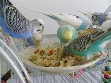 eating4.jpg