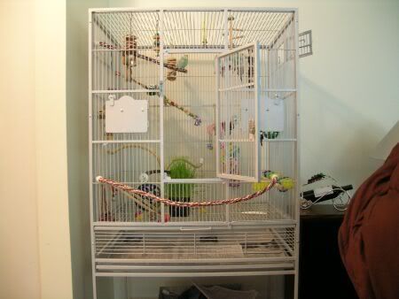 newcagefront.jpg