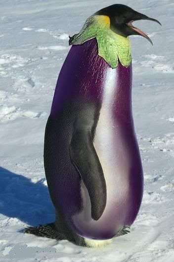 penguin.jpg