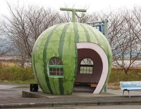 watermelonbusstop.jpg