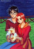 Harry y Ginny