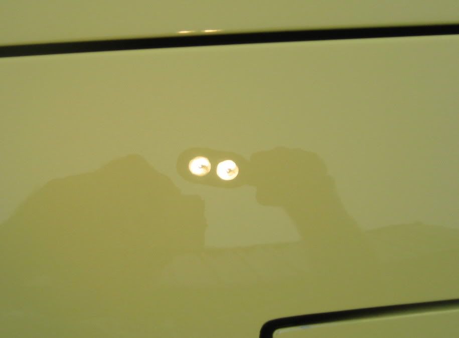 IMG_2858.jpg