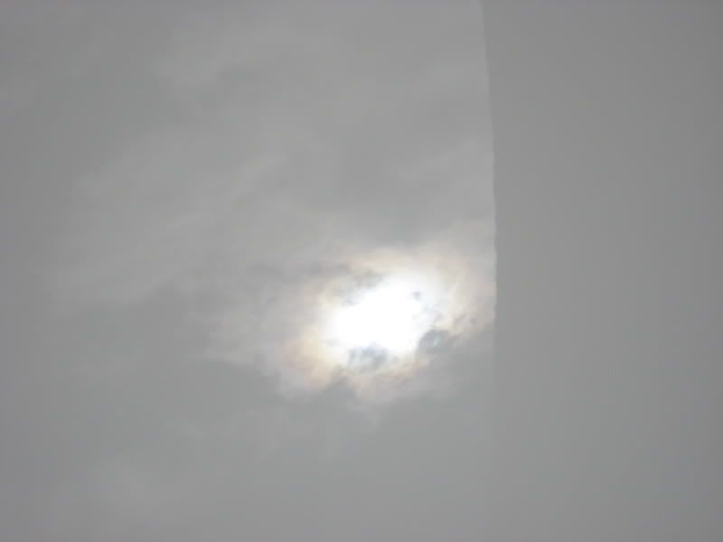 IMG_2327.jpg