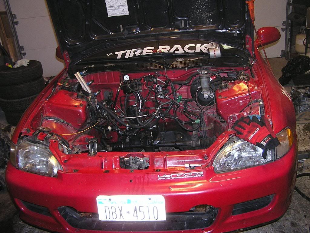 http://img.photobucket.com/albums/v333/folicor/rebuild2.jpg