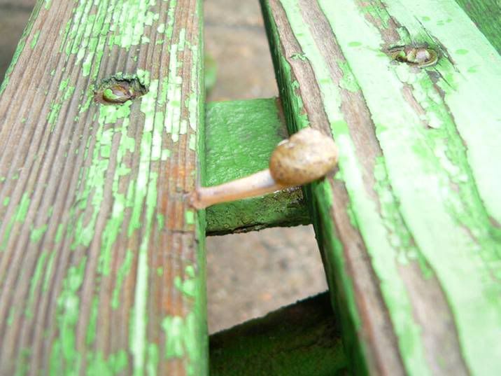 Image hosted by Photobucket.com