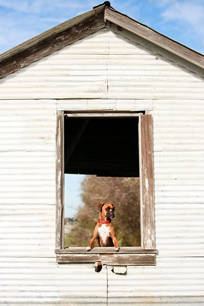 IMAGE: http://img.photobucket.com/albums/v333/surfkahakai/17dbc624.jpg