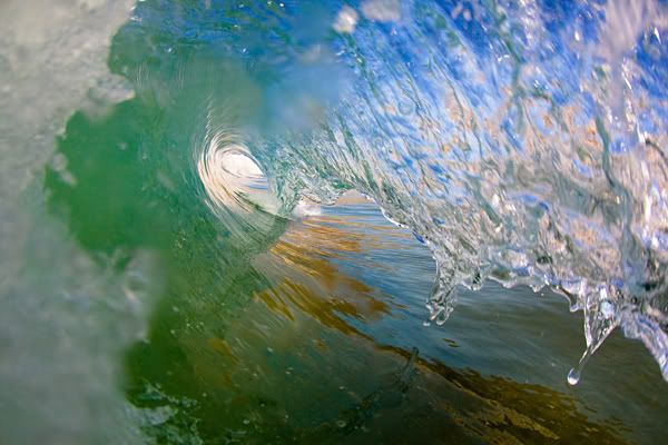 IMAGE: http://img.photobucket.com/albums/v333/surfkahakai/20071220_christmas007.jpg