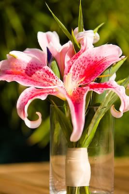 IMAGE: http://img.photobucket.com/albums/v333/surfkahakai/20080919_natecarly001.jpg