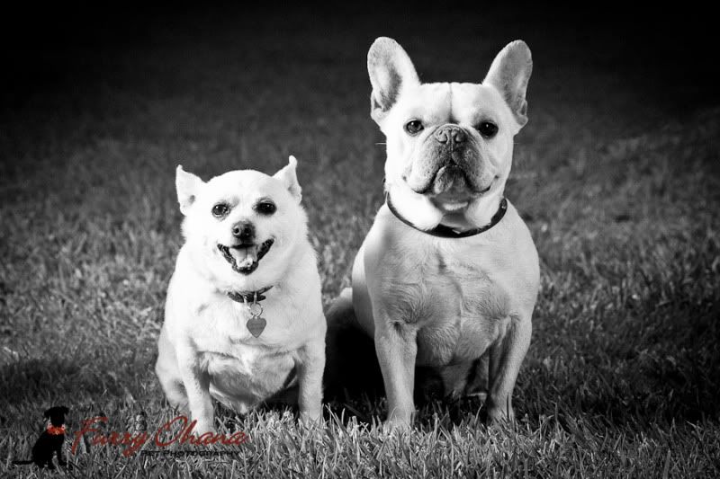 IMAGE: http://img.photobucket.com/albums/v333/surfkahakai/33c042d8.jpg