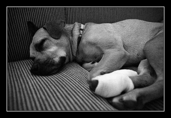 IMAGE: http://img.photobucket.com/albums/v333/surfkahakai/Personal/20080808_003.jpg