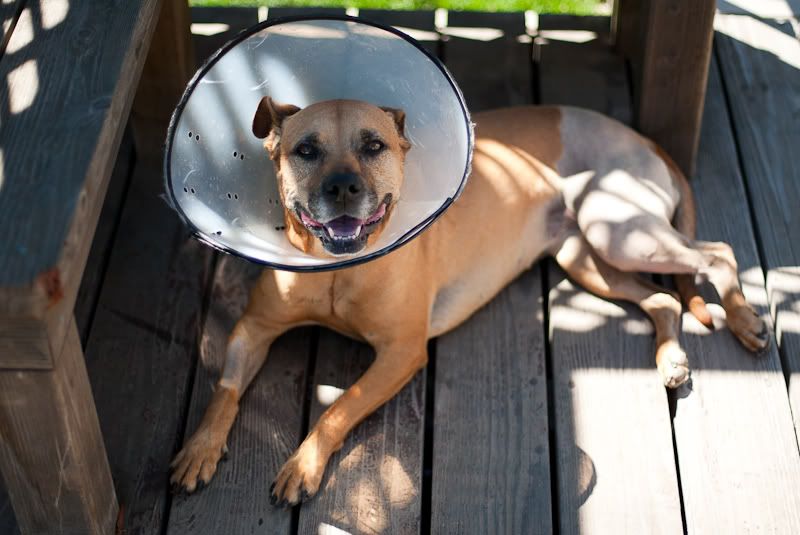 IMAGE: http://img.photobucket.com/albums/v333/surfkahakai/Personal/21184e32.jpg