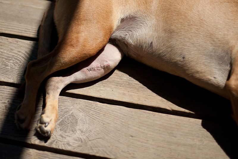 IMAGE: http://img.photobucket.com/albums/v333/surfkahakai/Personal/cfcd5415.jpg