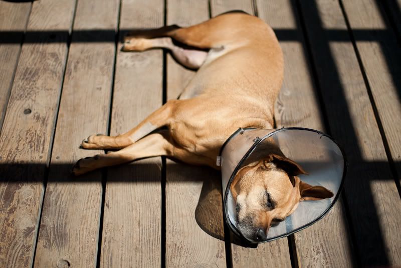 IMAGE: http://img.photobucket.com/albums/v333/surfkahakai/Personal/ee85e619.jpg