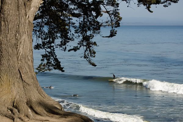 IMAGE: http://img.photobucket.com/albums/v333/surfkahakai/Surfing/20080416_hook001.jpg
