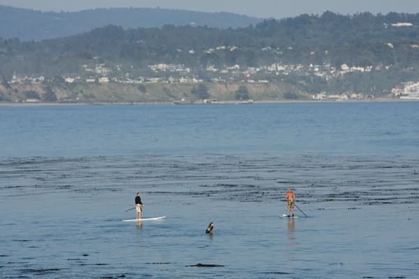 IMAGE: http://img.photobucket.com/albums/v333/surfkahakai/Surfing/20080416_hook006.jpg