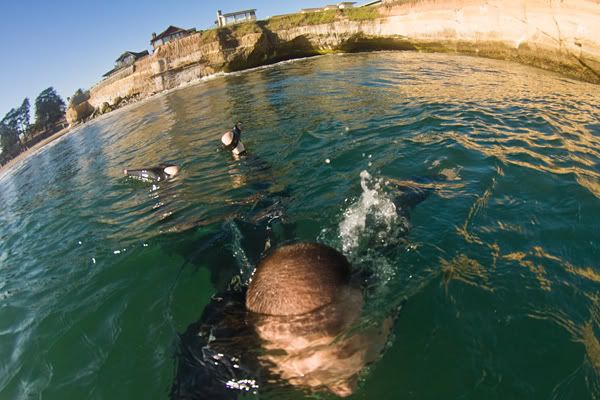 IMAGE: http://img.photobucket.com/albums/v333/surfkahakai/Surfing/20080518_blacks005.jpg